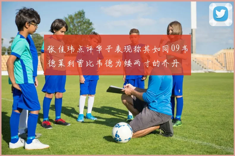 张佳玮点评华子表现称其如同09韦德莱利曾比韦德为矮两寸的乔丹