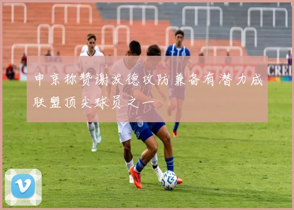 申京称赞谢泼德攻防兼备有潜力成联盟顶尖球员之一