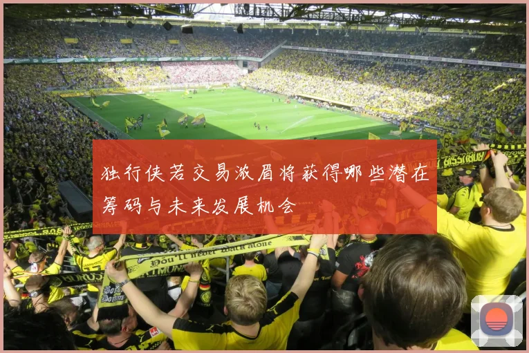 独行侠若交易浓眉将获得哪些潜在筹码与未来发展机会
