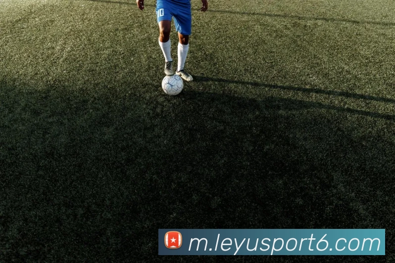 App Interface Preview