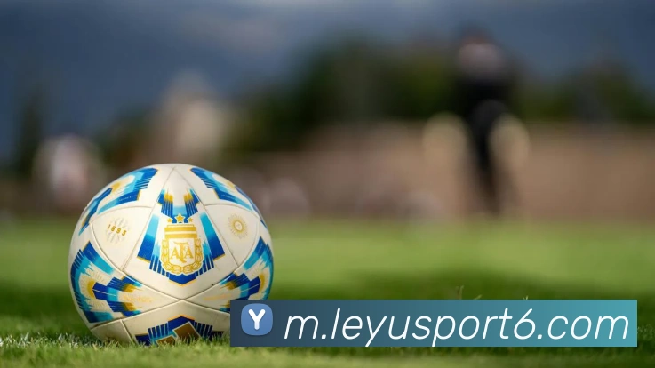 乐鱼体育APP 封面图